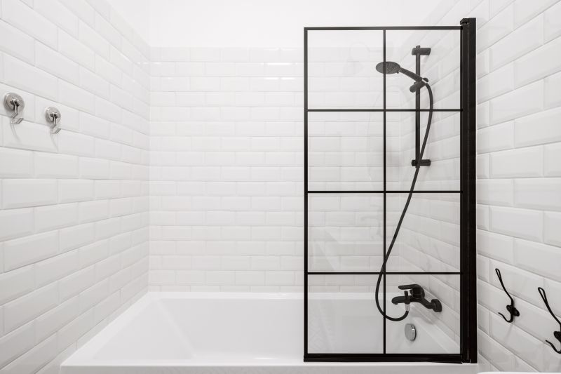 Black Frame Frameless Shower